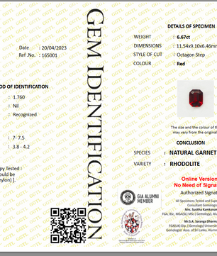 6.67 ct Octagonal Red Rhodolite Garnet